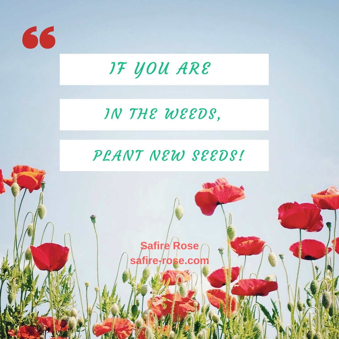 If you are in the weeds…